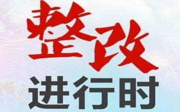 巡视整改报告8篇