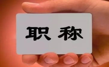 正高级工作总结优秀5篇