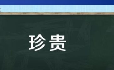 最珍贵作文400字6篇