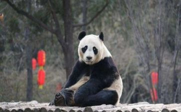 珍贵亲情作文优质7篇