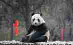 珍贵亲情作文优质7篇