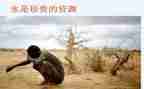 珍贵亲情作文最新8篇