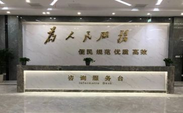 政务服务2024年工作总结7篇