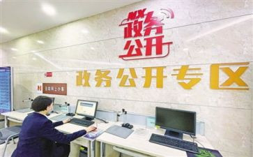 政务公开活动总结7篇