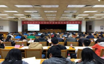 镇统计站工作计划参考7篇