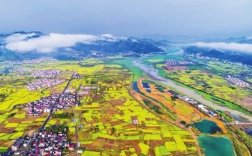 关于乡村振兴的心得体会8篇