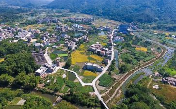乡村振兴工作计划6篇