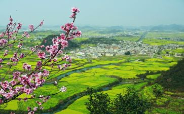 乡村振兴乡村调研报告范文5篇