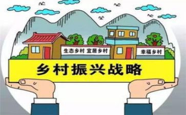 2024乡村振兴工作报告参考8篇