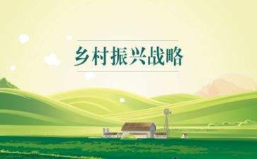 法学生乡村振兴心得体会6篇