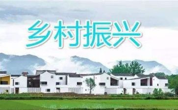乡村振兴个人年度工作总结6篇