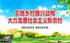 奋斗乡村振兴心得体会8篇