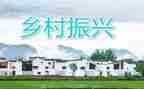 乡村振兴领导讲话稿5篇