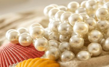 课文珍珠鸟的教案5篇