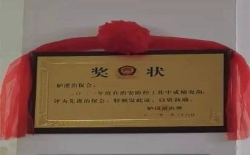 村治保工作总结7篇