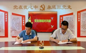 审计党支部述职报告6篇