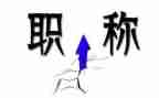 技术职称工作总结5篇