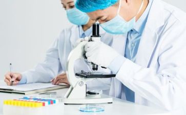 质量体系的心得体会6篇