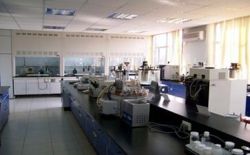 2024年技术质量工作总结模板6篇