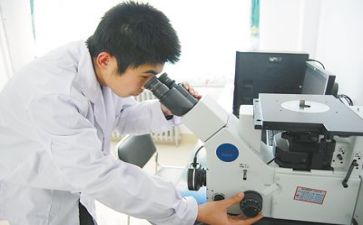 质量周工作计划精选7篇