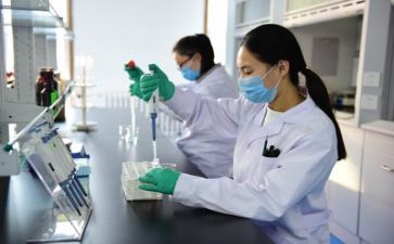 2024年度质量工作总结7篇