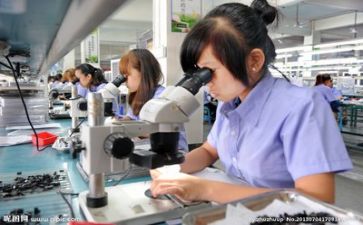 质量周工作总结5篇