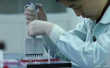 个人总结质量组报告6篇