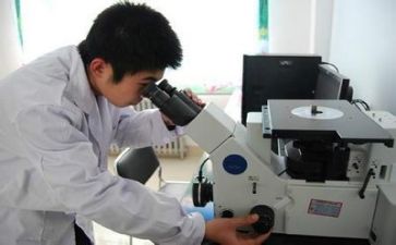 质量组工作总结5篇