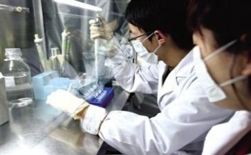 质量周工作总结模板5篇