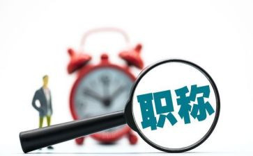 局述职评议报告7篇