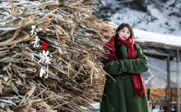 七年知青的读后感7篇