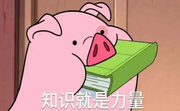 知识与金钱作文6篇