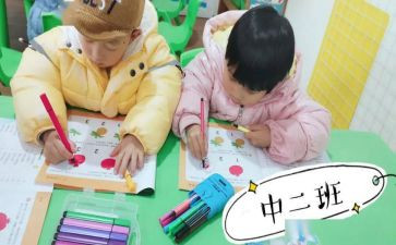 幼儿园中班主题活动方案6篇