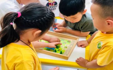 2024年中班个人总结优秀8篇