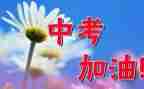 中考抄作文6篇