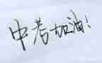 中考没作文优质7篇