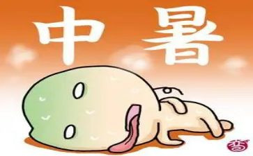 高中暑假心得体会精选8篇