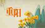 村重阳节活动方案通用5篇