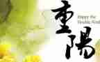 重阳节幼儿园活动策划精选5篇