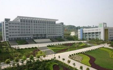 中专军训心得体会6篇