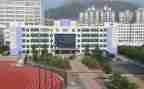 中专医学生自我鉴定300字5篇