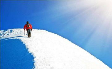 追寻600字作文5篇