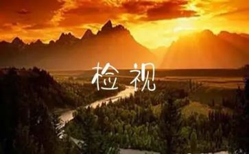 自检自查报告优秀6篇