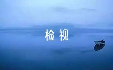 以案为鉴自检自查报告模板7篇