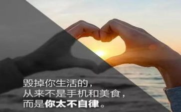 廉洁自律自查报告优秀5篇