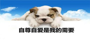 自尊自强自信演讲稿5篇