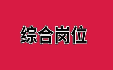 2024年综合岗工作总结最新6篇