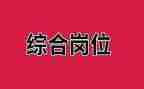 2024年综合岗工作总结模板8篇