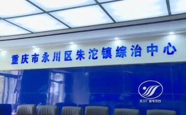 2024学校综治工作总结5篇