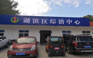 处综治工作总结最新8篇